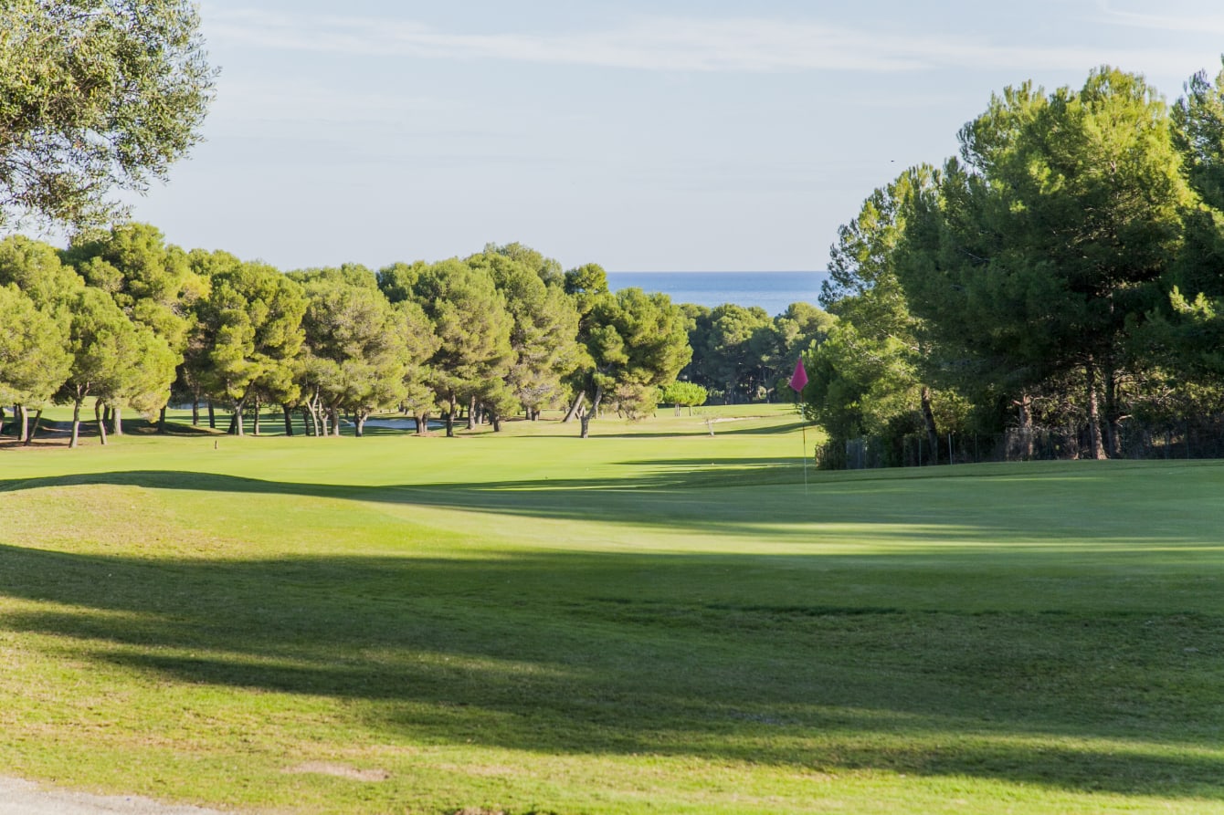 Club de Golf Terramar - Image 8